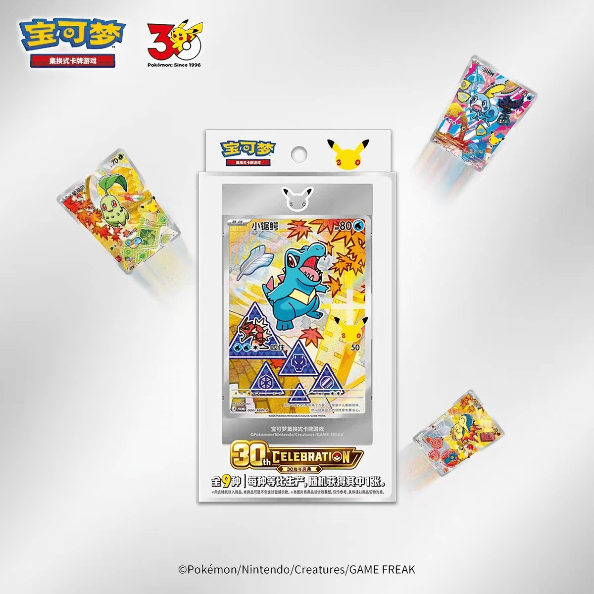 30th Anniversary Celebration: First Partner Special Illustration Flashcard Set Vol.2 - PokeBro's Zutphen